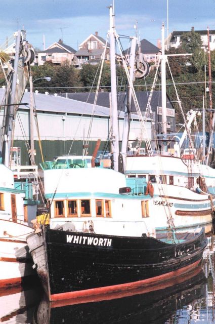 The F/V WHITWORTH Picture