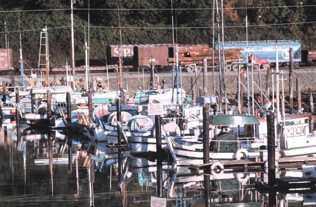 Part of the fishing fleet at Everett Picture