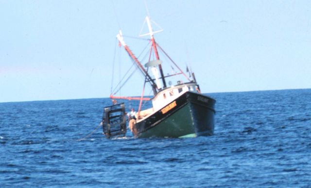 Clam dredging with the dredge deployed from the starboard side Picture