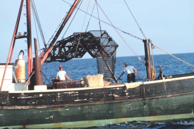 Deploying a clam dredge offshore Picture