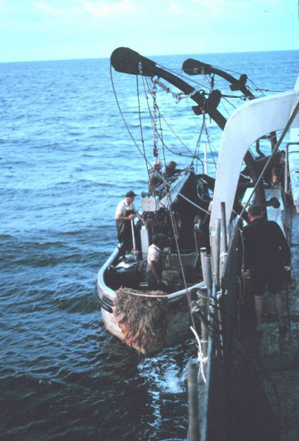 Menhaden fishing - Putting over the purse seine boats early in the morning Picture