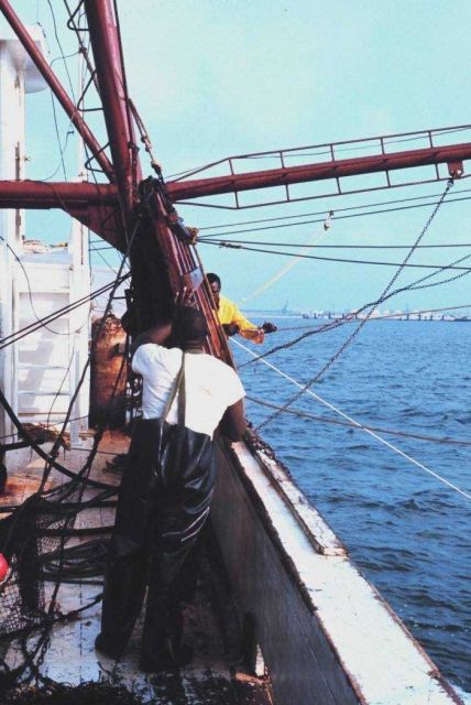 Putting the trawl in the water Picture