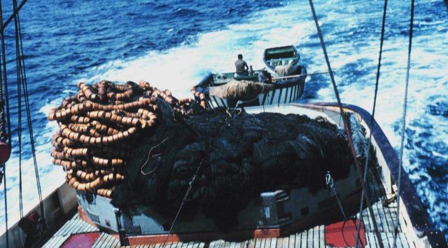 Nets, purse seine boat, and wake are seen as looking aft from the stern of a tuna boat in the tropical Pacific Picture
