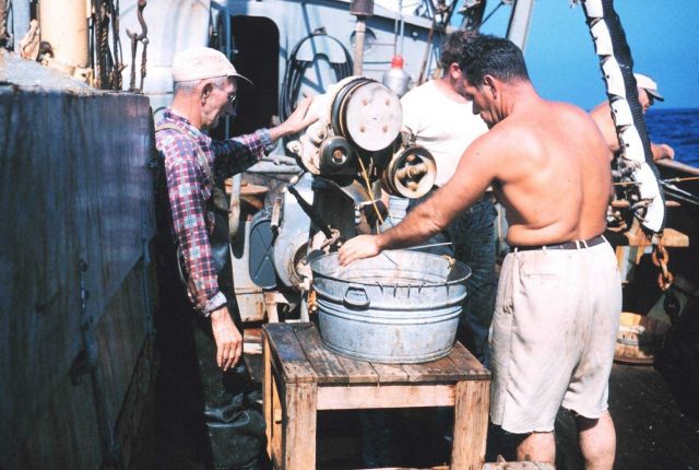 Preparing longlines for tuna fishing Picture