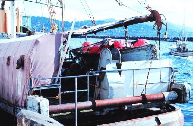 Fishing vessel alongside Picture