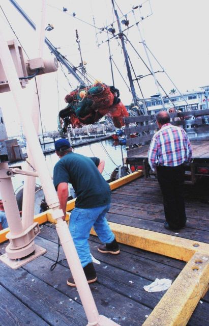 Hoisting used nets for maintenance and preparation for another cruise Picture
