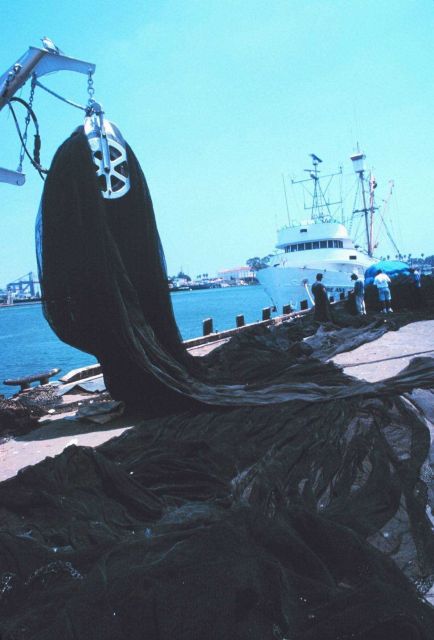 Mountains of nets, chain, and line - some of the working gear of commercial tuna boats Picture