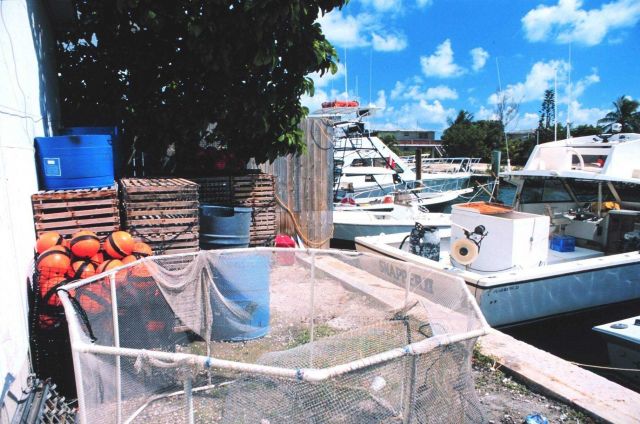 Stone crab holding pen - used to protect crab after its claw is removed Picture