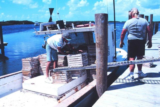 Stone crab fishermen loading their traps on board Picture
