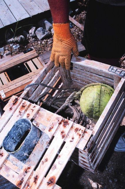 Stone crab trap and float stowed inside prior to deployment Picture