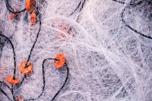 Nets and floats Picture
