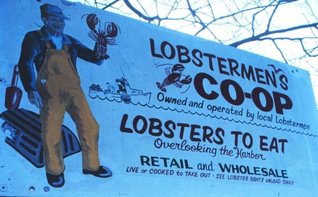 The Lobstermen's Co-op Picture