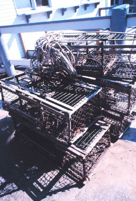 Lobster traps on the pier at the Lobstermen's Co-op Picture