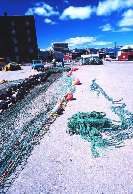 Nets laid out to dry near the Portland Fish Exchange Picture