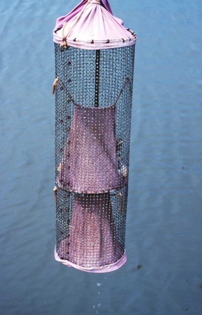 An eel trap on display at the Chesapeake Bay Maritime Museum Picture