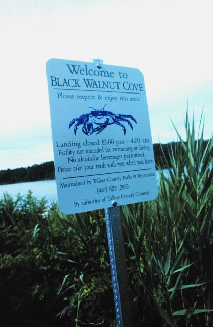 A landing area for local fishermen on Tilghman Island Picture