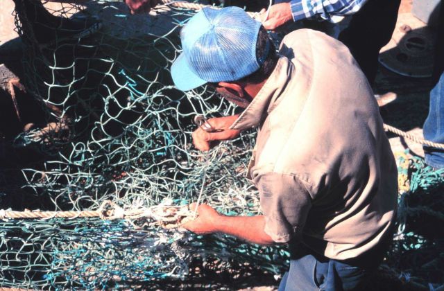 Mending nets on the dock - a timeless fishing skill Picture