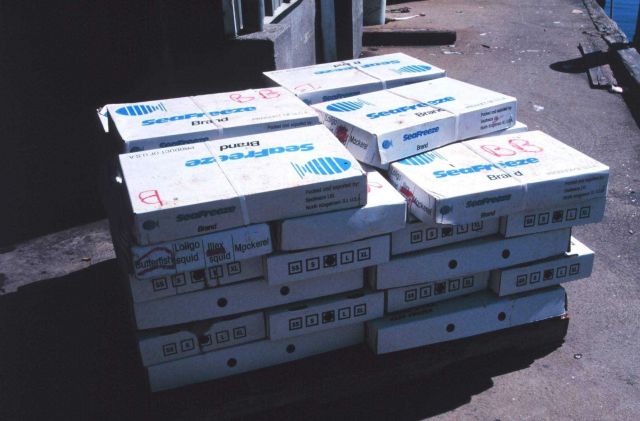 Boxes of frozen bait ready to be loaded from pier to fishing boat Picture