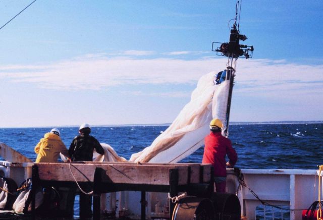 Deploying bongo nets for sampling plankton Picture