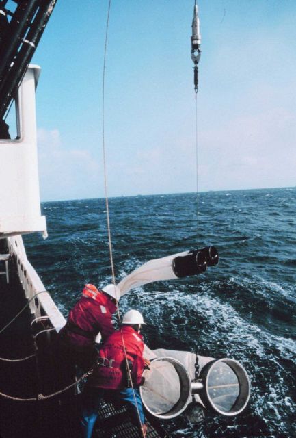 Deploying bongo nets for sampling plankton Picture