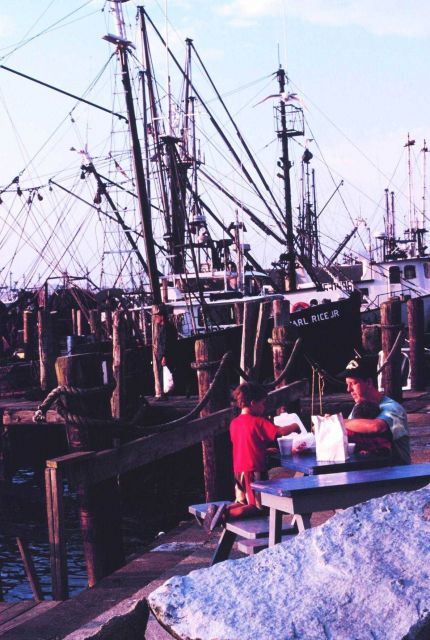 Dining out - a family dinner next to the Point Judith lobster boats Picture