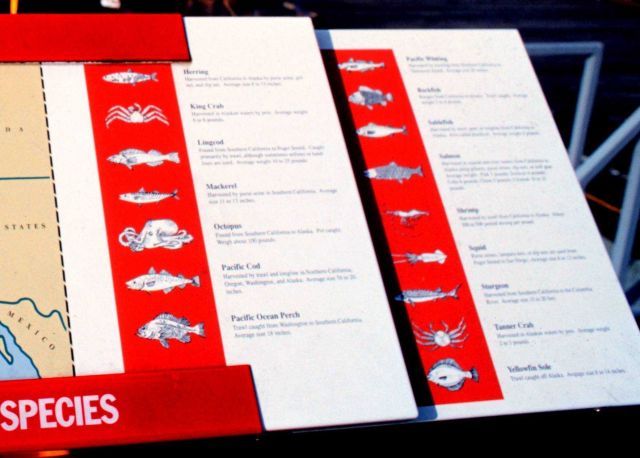 Blowup of plaque describing commercial species in North Pacific waters Picture