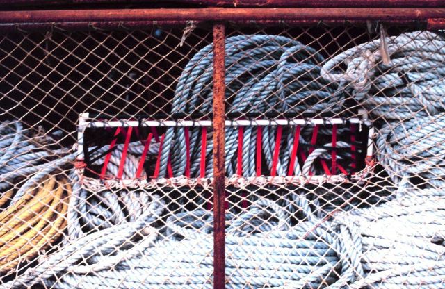 Entrance to crab pot used in North Pacific king crab fishery Picture