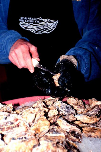 Shucking oysters at Anthony's Oyster Olympics Picture
