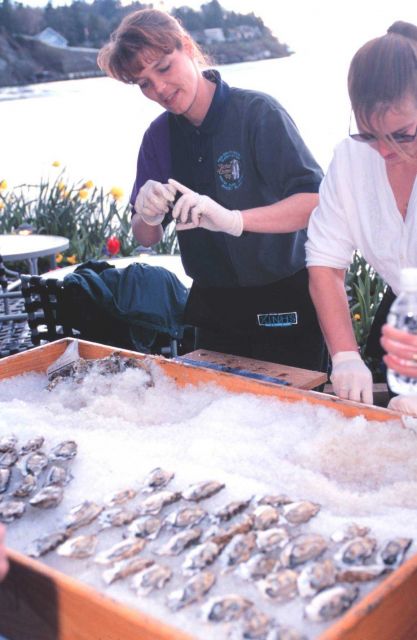 Oysters on display at Anthony's Oyster Olympics Picture