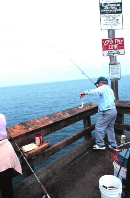 Got a big one this time! Fishing off the Newport Beach pier. Picture