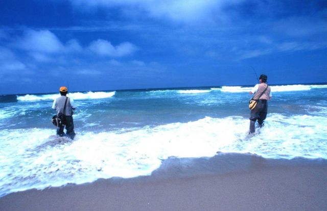 Sea and sky are the realm of the surf fisherman - near Vandenburg AFB Picture