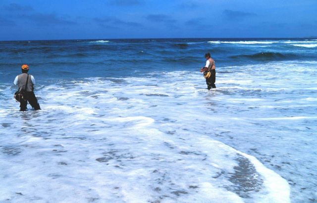 Sea and sky are the realm of the surf fisherman - near Vandenburg AFB Picture