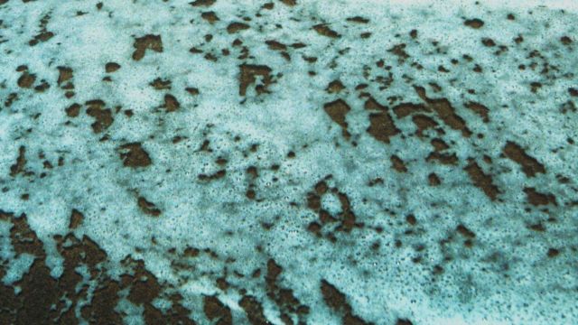 Foam from breaking surf washes gently against the shore. Picture