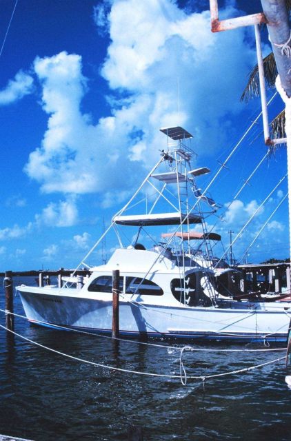 A trim recreational fishing craft tied up at Bud N' Mary's Marina Picture