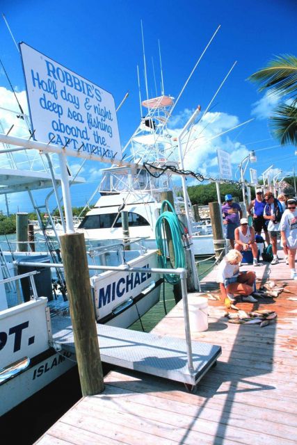 Unloading and distributing a catch of yellowtail snapper Picture