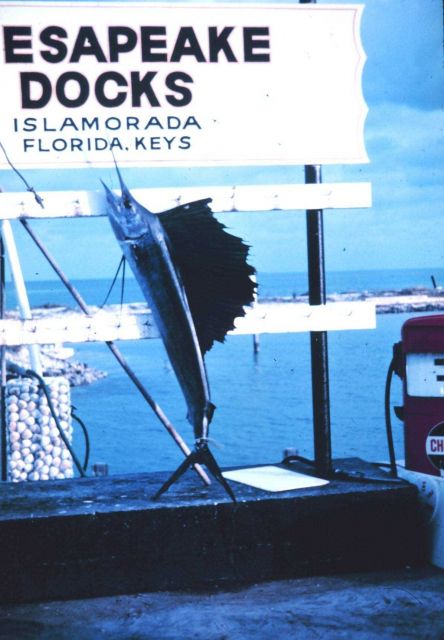 Chesapeake Docks, a geographic paradox, advertising sailfish fishing prowess Picture