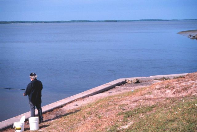 Fishing off the seawall just south of Everglades City Picture