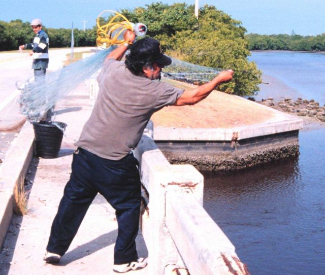Photo -1 - A fisherman casting his net for mullet and other fish off a bridge south of Everglades City. Picture