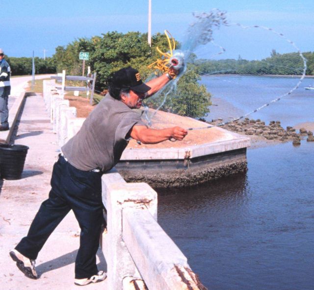 Photo -2 - A fisherman casting his net for mullet and other fish off a bridge south of Everglades City. Picture