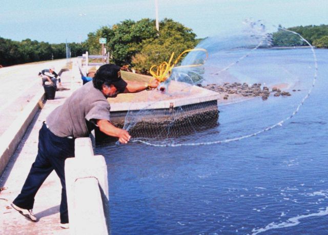 Photo -1a - A fisherman casting his net for mullet and other fish off a bridge south of Everglades City. Picture