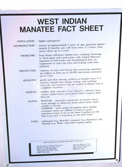 Sign providing information on manatees for recreational boaters Picture