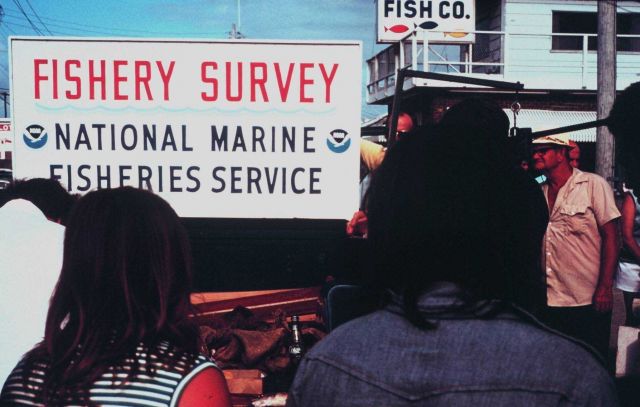 A NMFS sampling station counting fish with cooperation of anglers from headboats Picture