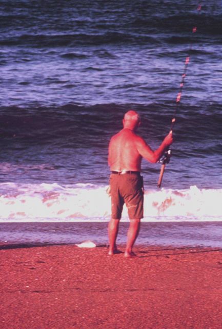Landing a fish through the surf at Kitty Hawk Beach Picture