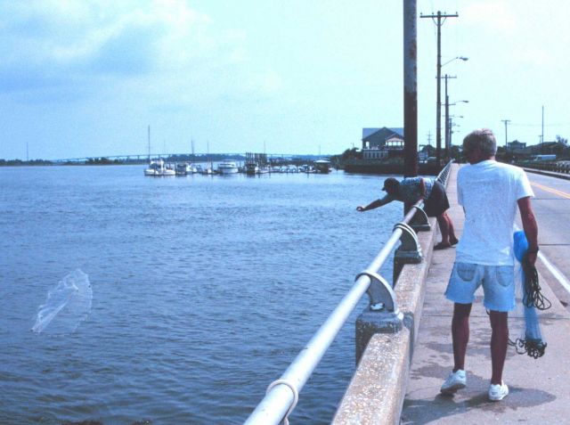 Casting net for bait mullet off the Isle of Palms Causeway Picture
