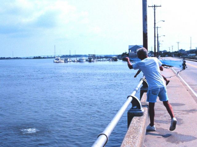 Casting net for bait mullet off the Isle of Palms Causeway Picture