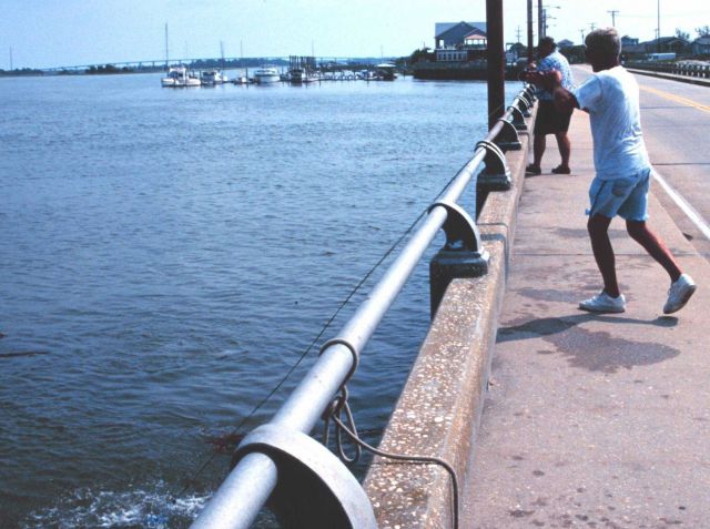 Casting net for bait mullet off the Isle of Palms Causeway Picture