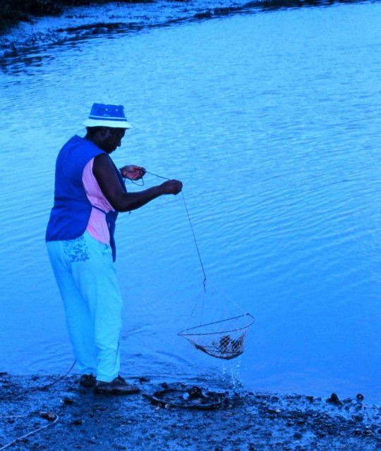 Fishing for blue crabs with traps in a tidal stream Picture