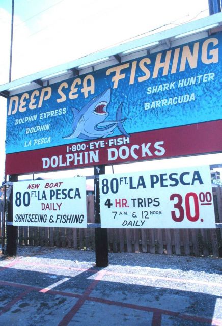 Sign advertising deep sea fishing at Dolphin Docks Picture