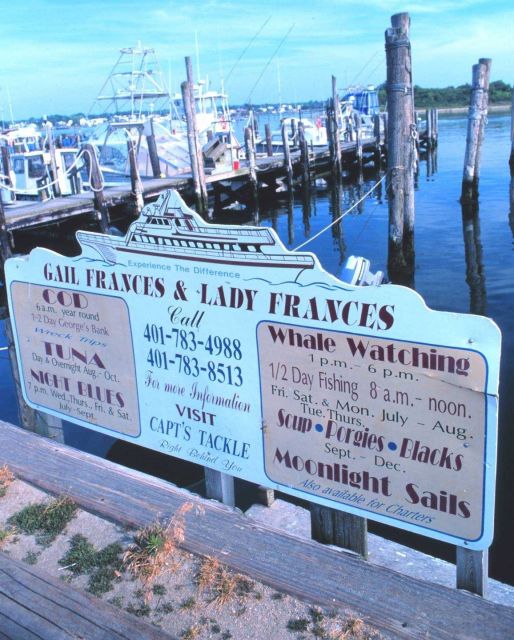 Recreational fishing fleet beyond a sign advertising whale watching at Point Judith. Picture