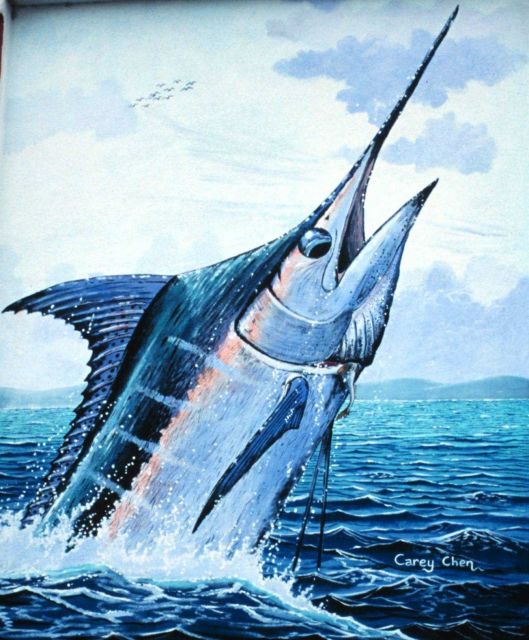 The entrance to the Virgin Islands Game Fishing Club Picture